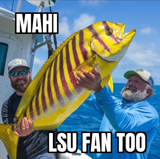 World Famous LSU Fanbulance! (@marksmaint) on Twitter photo  World Famous LSU Fanbulance! (@marksmaint) on Twitter photo