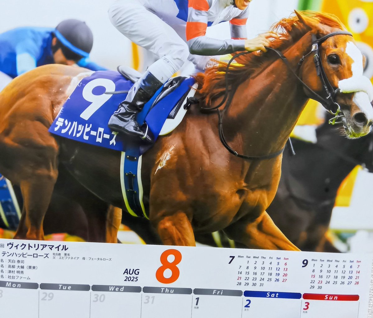 非売品イクイノックス JRA 卓上カレンダー JRA 卓上カレンダー 2024