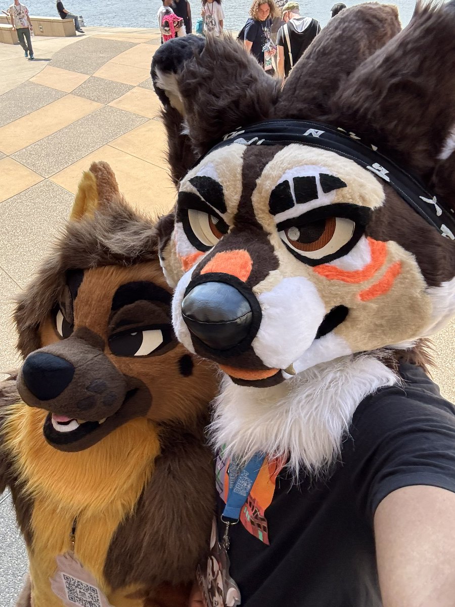 <a href="/WildcatCostumes/">Wildcat Costumes 🪡🐾</a> critter spotting at AC 🐾