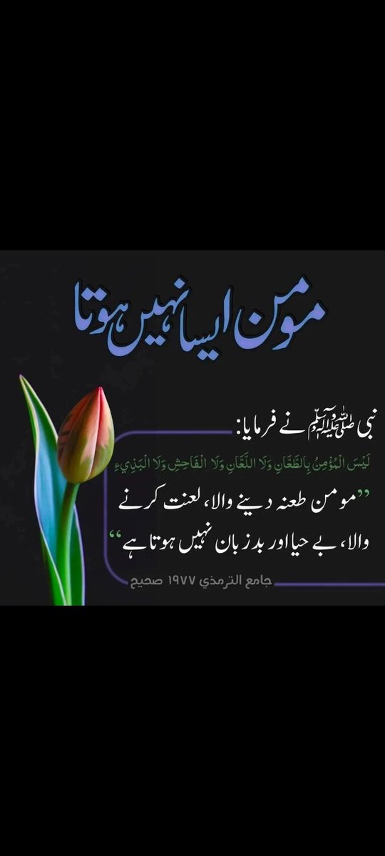 ShoaibShadow's tweet photo. https://t.co/WRIUz0YPHQ