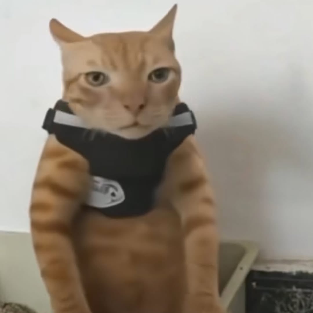 wdym it’s already monday tomorrow