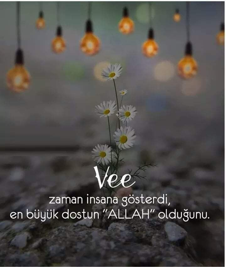 Selamün aleyküm.
Her nefesimizde ismini andığımız Allah'ım.
sevdiklerimizi bizden, bizi de sevdiklerimizden ayırma.
Hayırlı sabahlar.