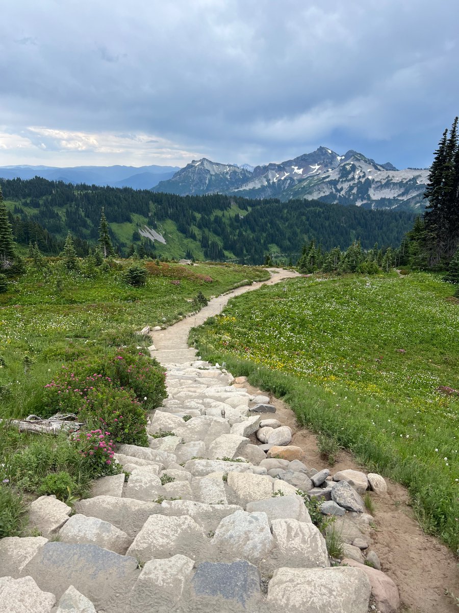 Turned 30, wholesome vacation with my UK family visiting. Back to farming KCIP this Monday over at kick.com/harry 👍