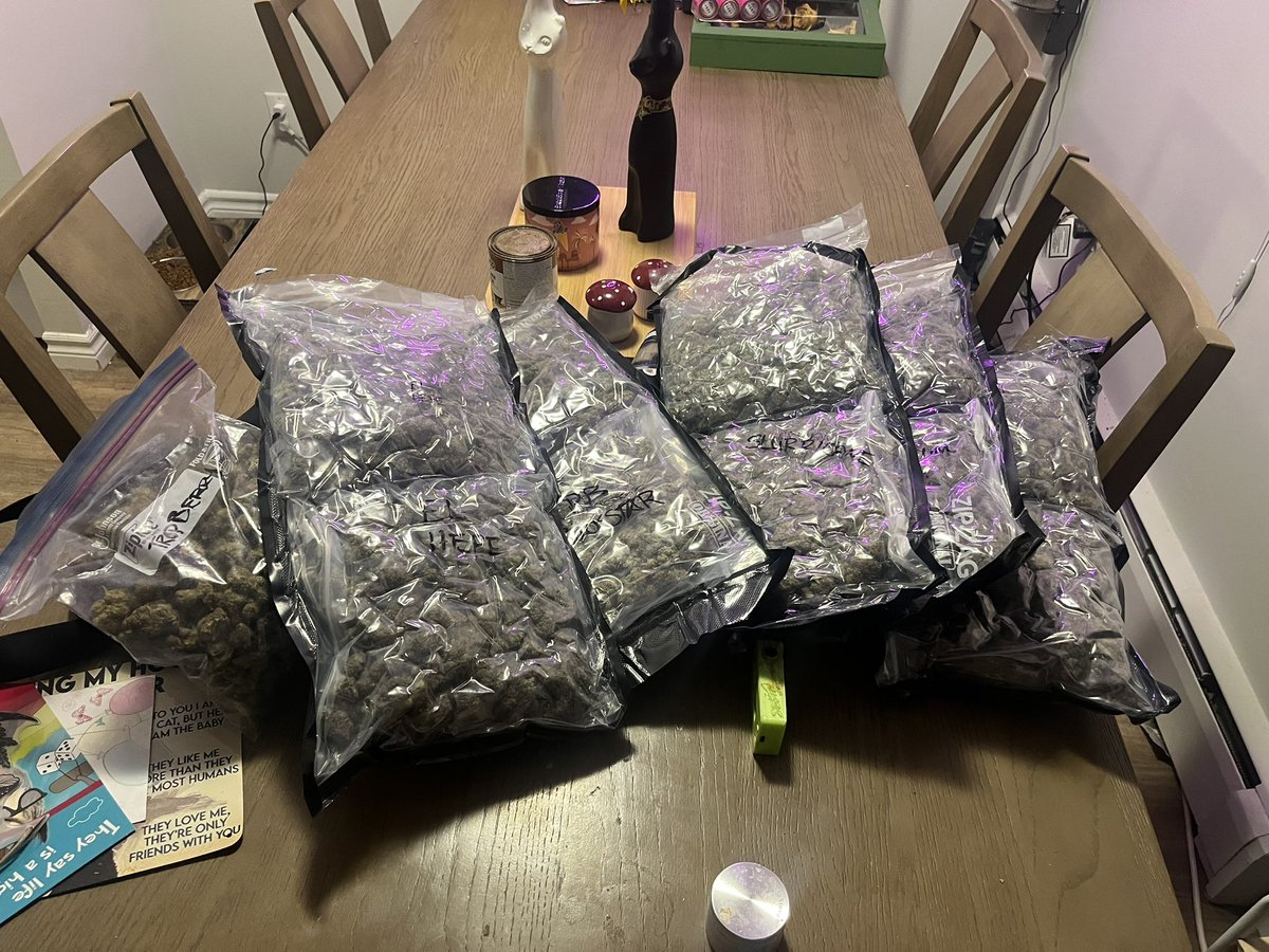 Brand new exotics on deck , little sample scoop from the new plug/old friend to see what he’s working with . And man he did NOT disappoint 🔥This the beginning of something beautiful for sure 👊🏻