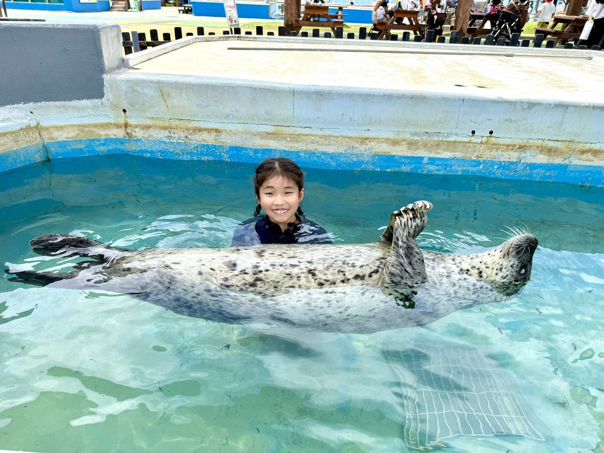 夏♪アザラシ♡プール 残りわずか！！ 好評開催中のイベント、プールの中でアザラシを抱っこ