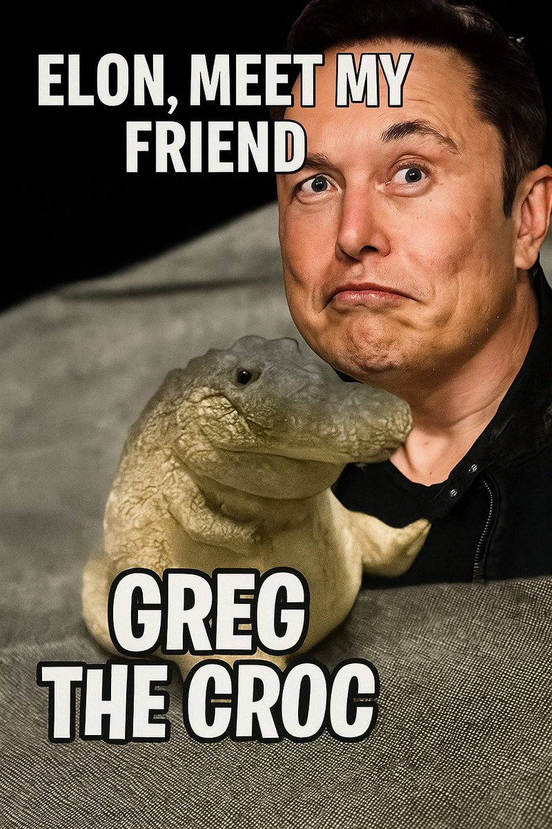 EgoPushKNG's tweet photo. @elonmusk I would like you to meet my Friend $GREG https://t.co/66hU2NFfqX