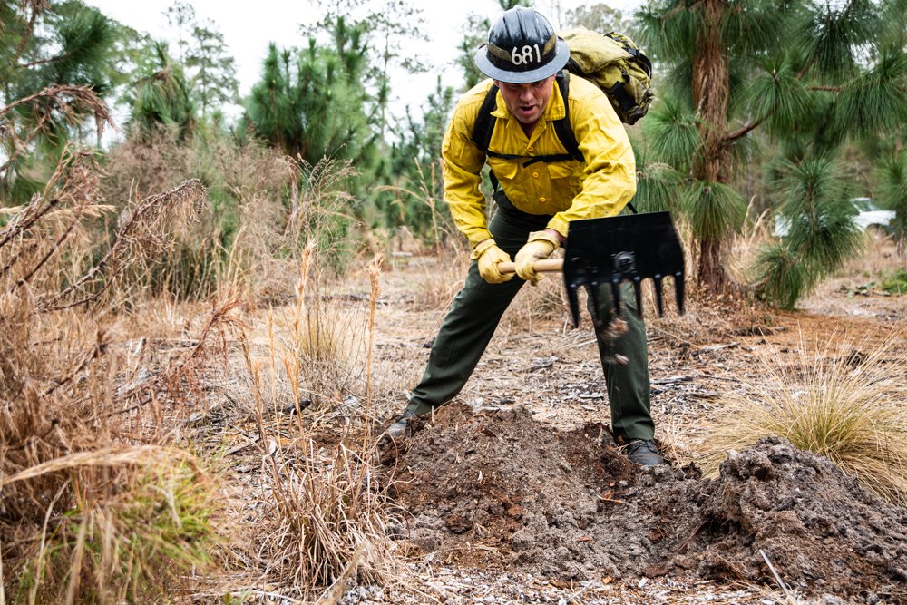 autorotate56's tweet image. I was a LA COUNTY FIREFIGHTER from 1975 to 1980. During that time, we were responsible for maintaining fire breaks in our area of responsibility. The most effective tools for this operation was the McLeod. Half rake, half blade.