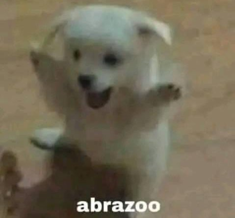 RoGabriel tweet media