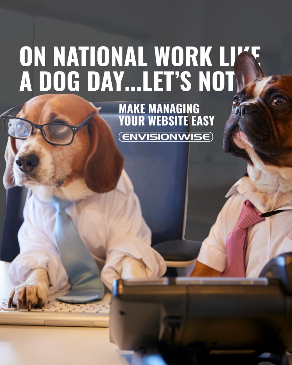 Envisionwise tweet media