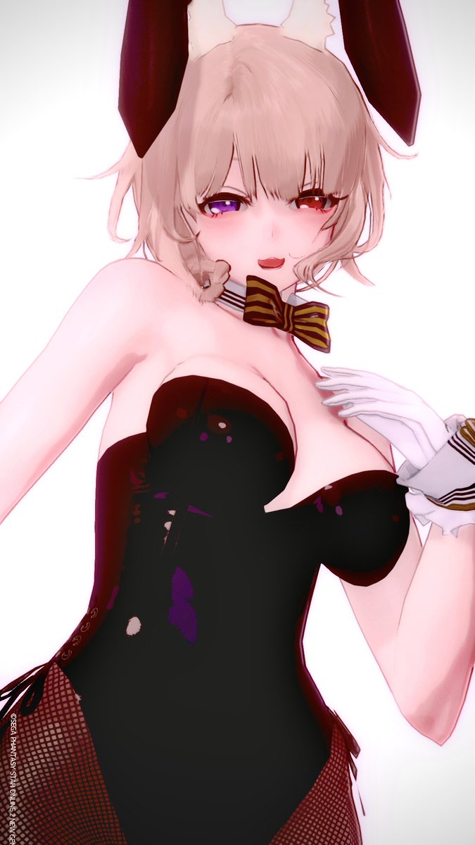 バニーの日…2日目…