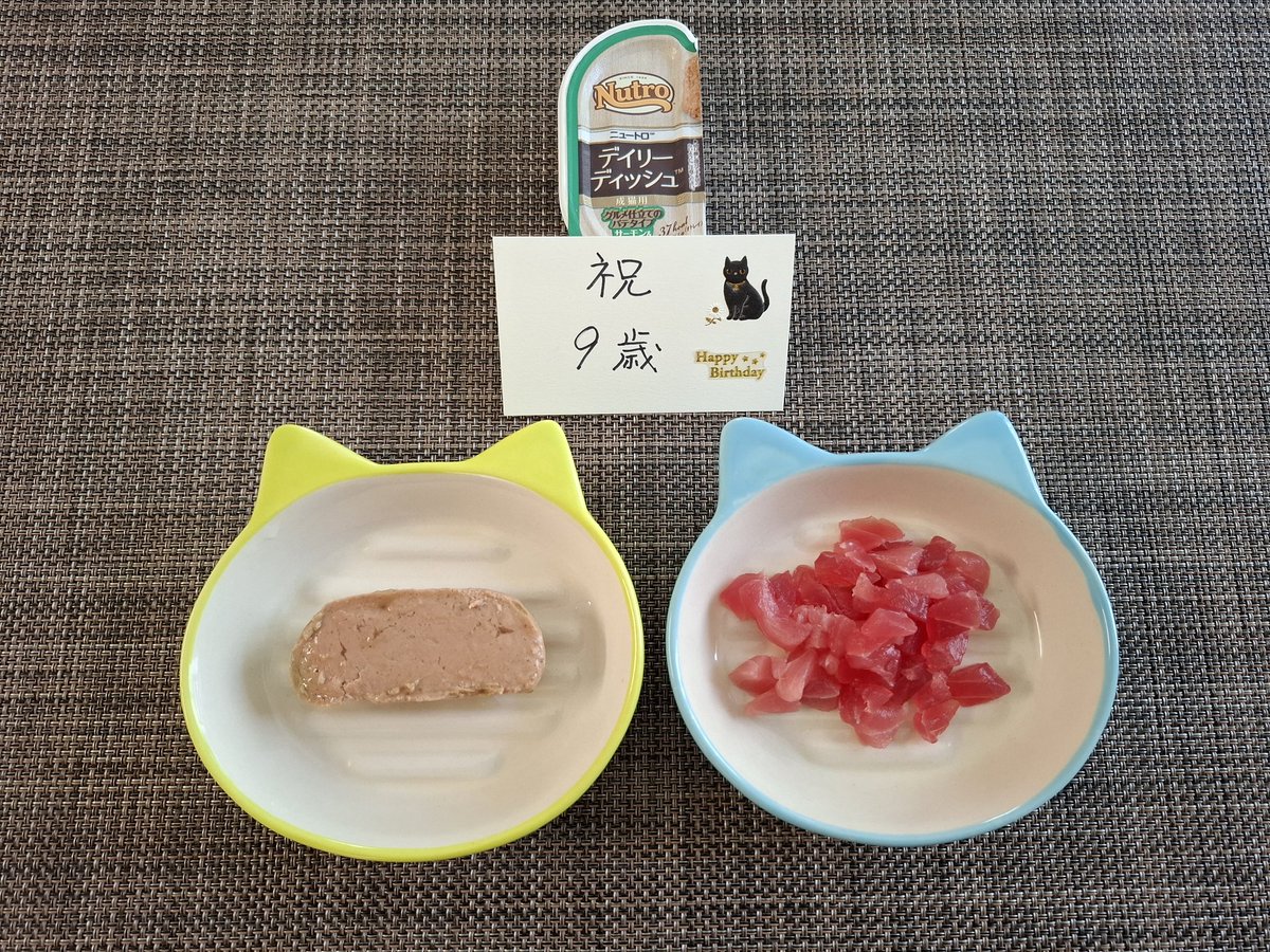 飼い猫が8月で9歳の誕生日を迎えた🎈
保護施設から迎えて9年程、いたって元気
キジ白の♂️
後10年は生きてくれよ

本日は普段よりいい餌を
・マグロの切り身
・ニュートロ　デイリーディッシュ
これを見たとたんガツガツに食べるだろう😁