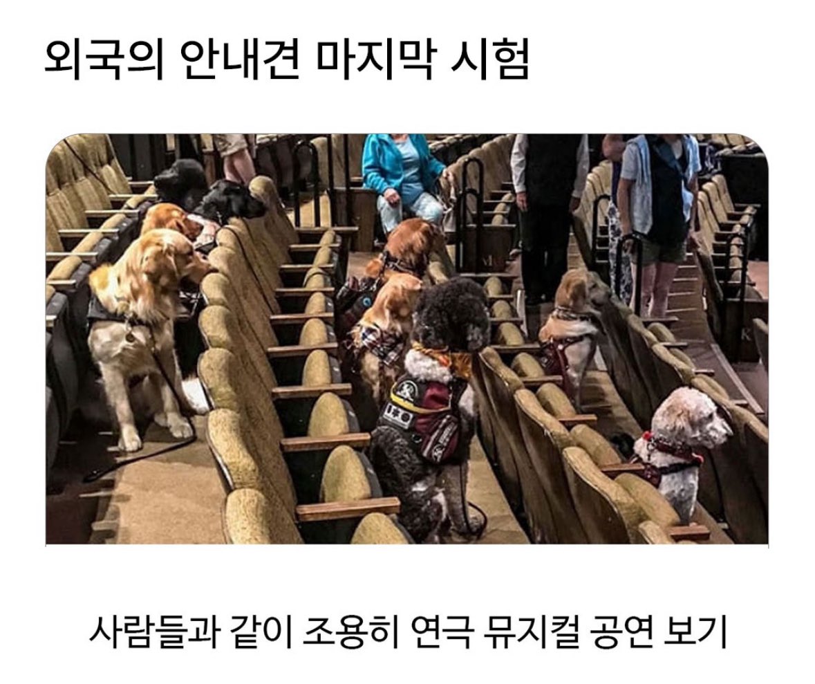 북크북크 (@akzkfltm2) on Twitter photo 