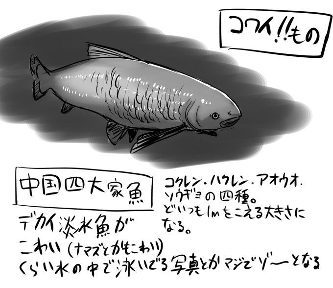 こわいものの一部です(一応閲覧注意か…?) 