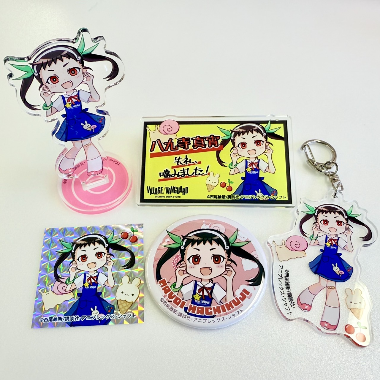 SKE48 ヴィレッジヴァンガード 店舗 限定 クリスマス 缶バッジ 18131-4720-