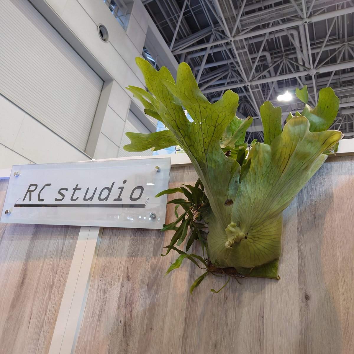 Rc studio ｱｰﾙｼｰｽﾀｼﾞｵ 爬虫類ｹｰｼﾞﾒｰｶｰ tweet media