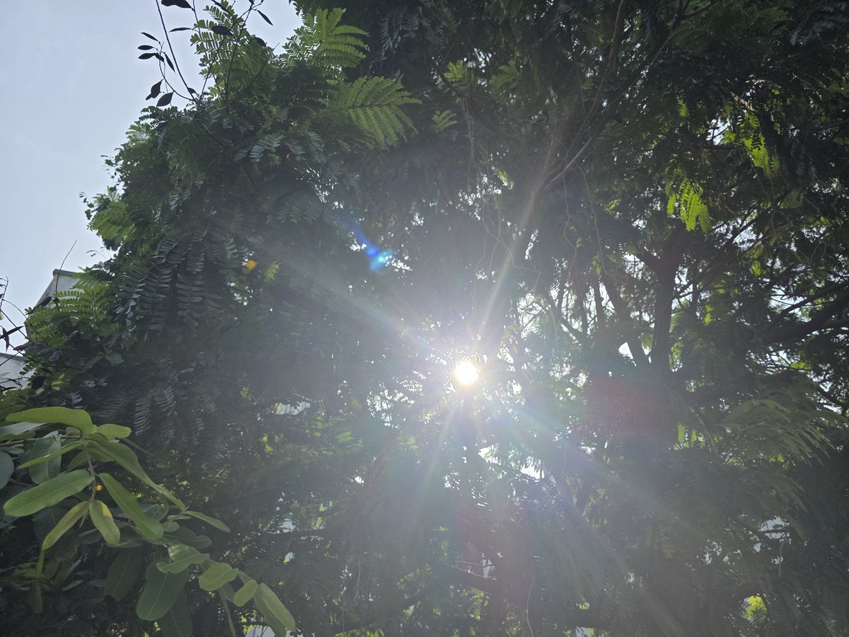 பொற்கதிர் 
பசுங்கூரை 
#நானும்வானும்