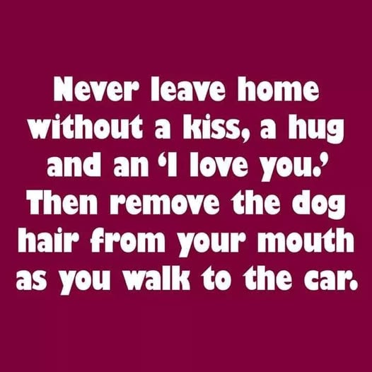 Yup!😂😂😂😂