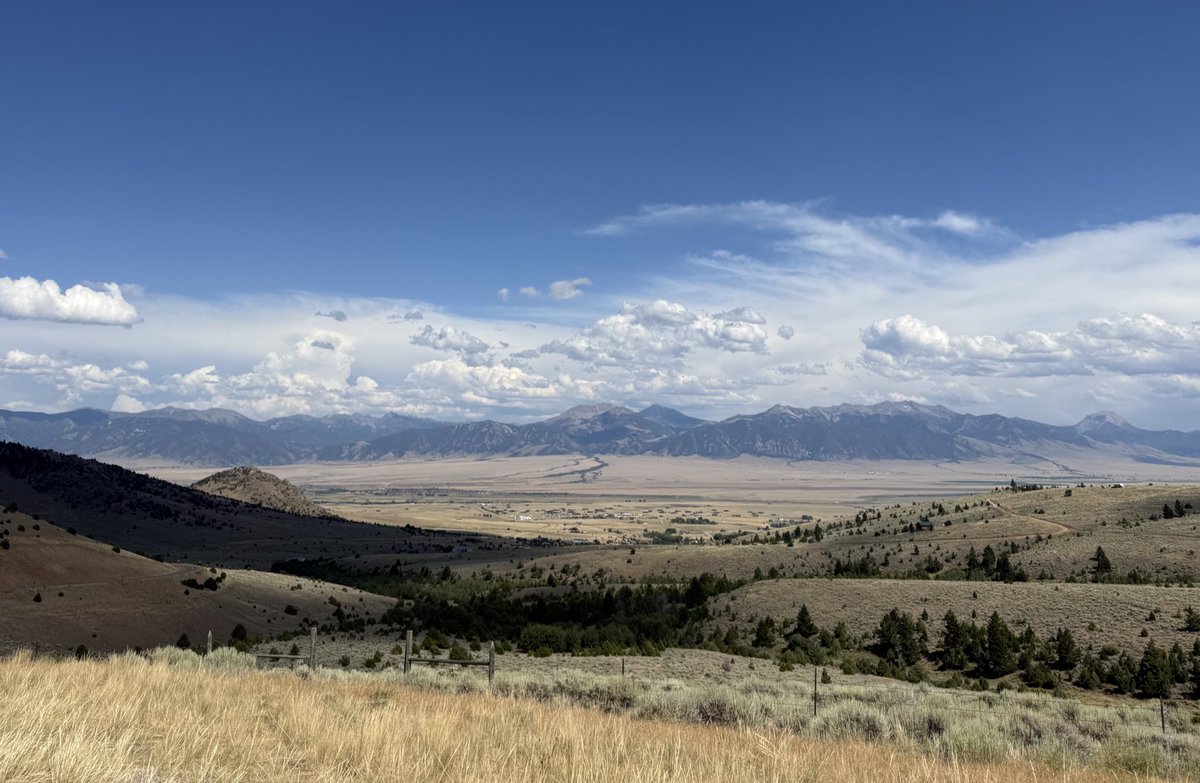 Stew Brees tweet media