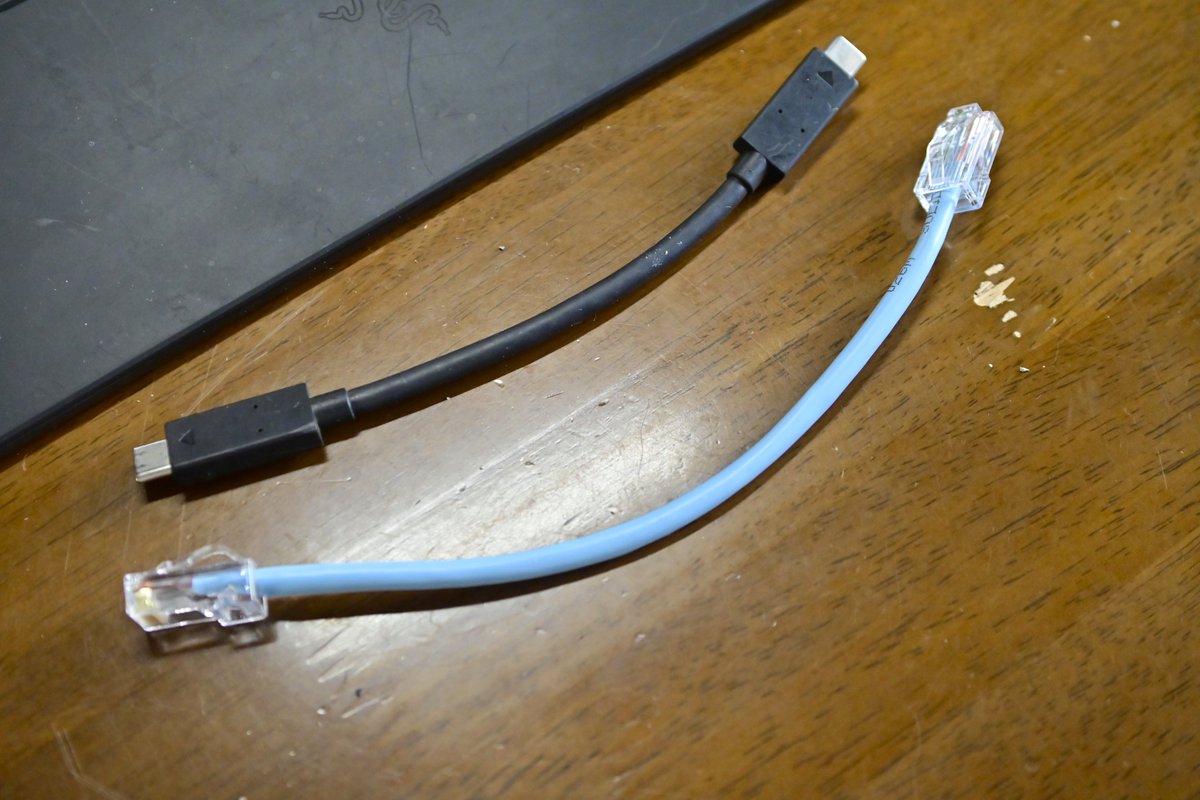 大学の先輩から15cmLANケーブル貰った
活用方法思いつかないわこれ