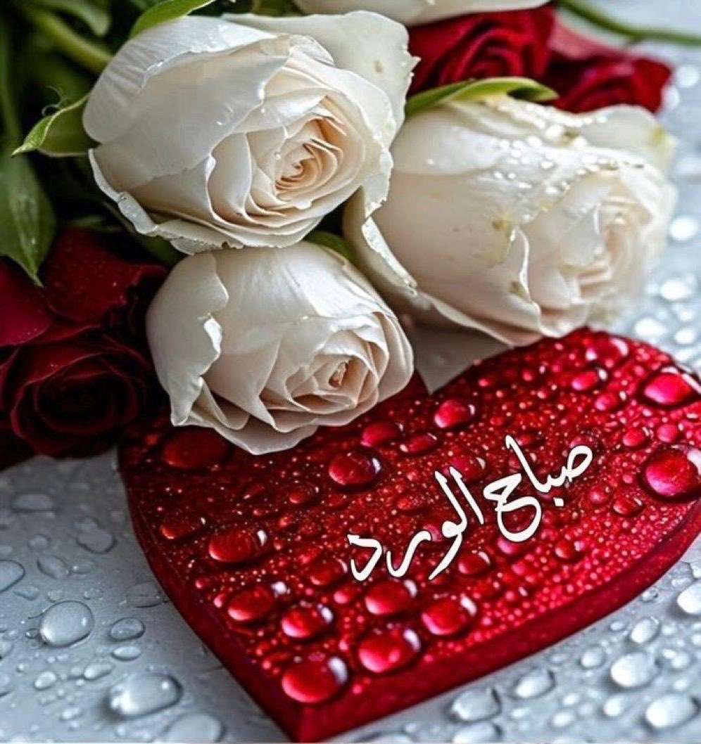 اسعدالله صباحكم بالحب والسعاده 😍🌹