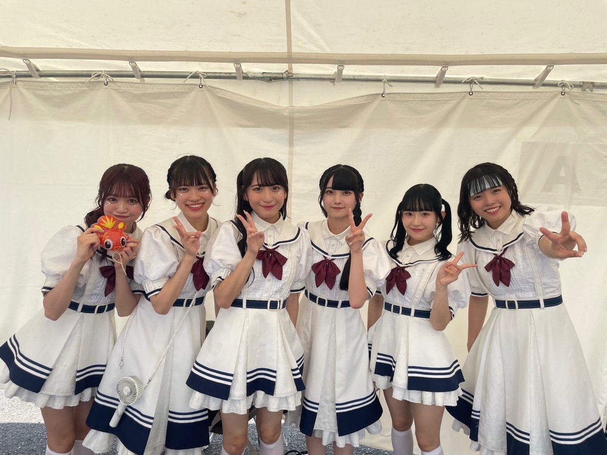 TIP&TIF 公式 tweet media