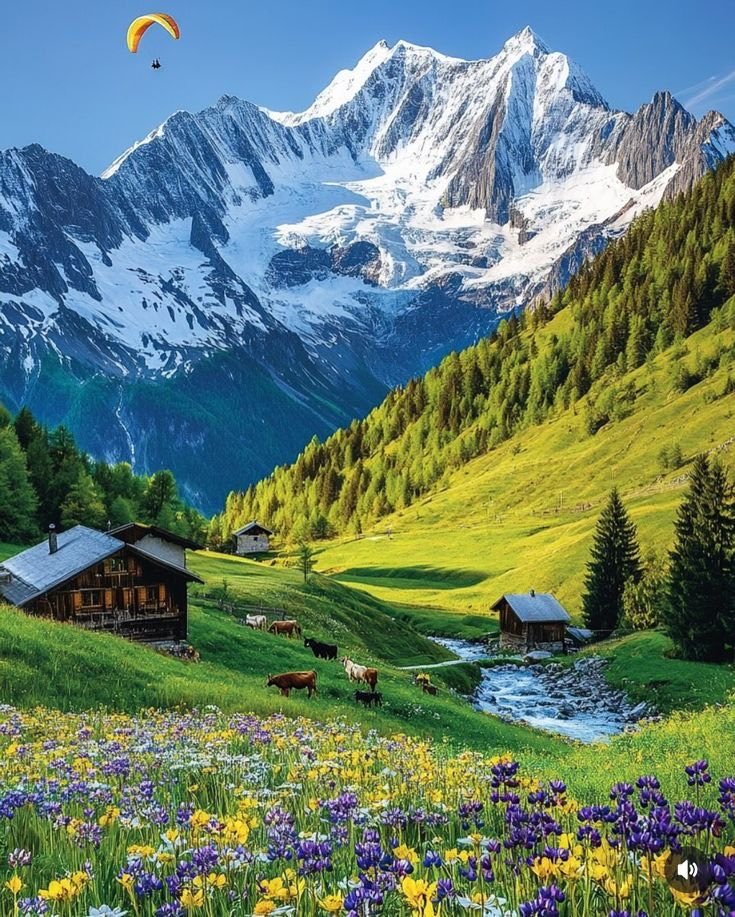 Raj Bakshi (@rajkbakshi) on Twitter photo 