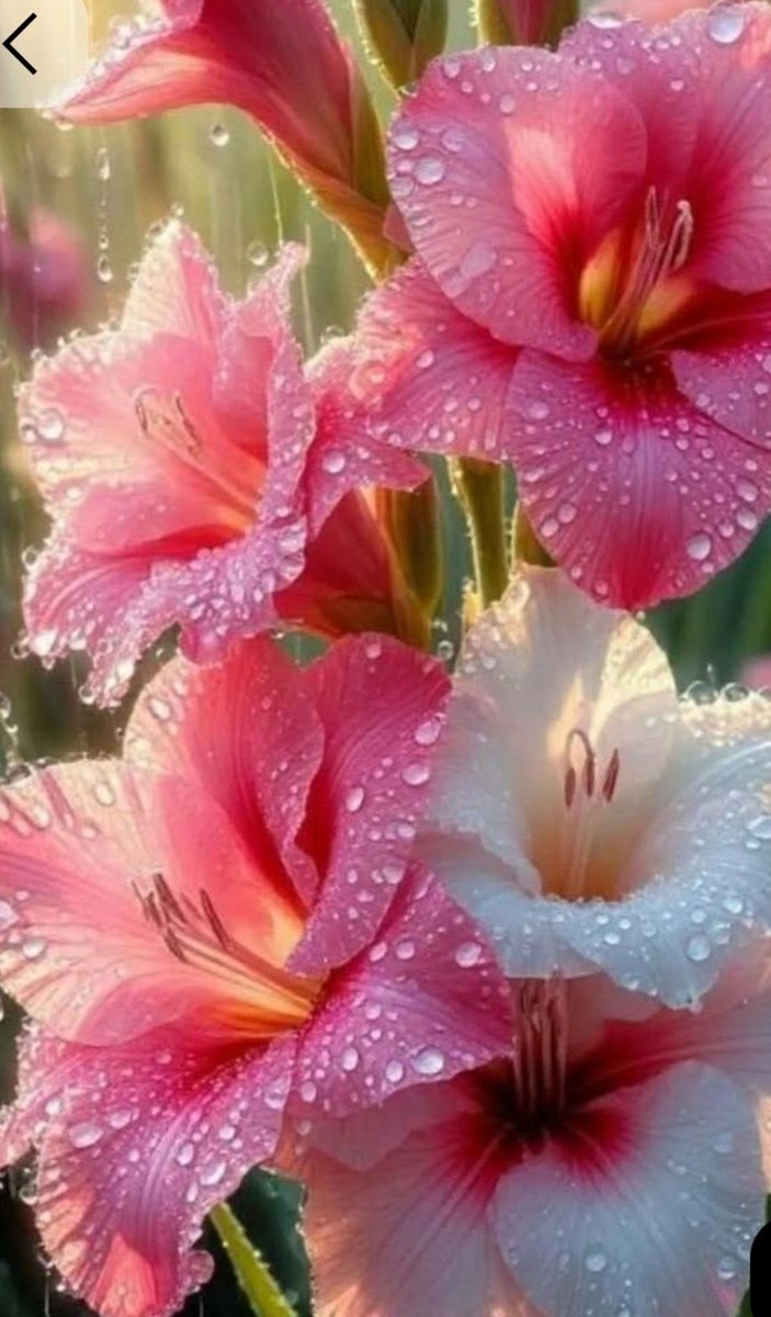 Raj Bakshi (@rajkbakshi) on Twitter photo 