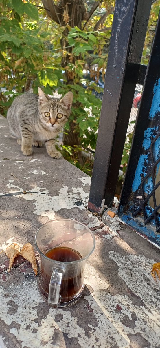 Neymiş Pazar günü çalışmazmış! Bu gençlik nereye gidiyor ya? Telefonunu çıkar dedim sana ne benim telefonumdan dedi utanmaz ya!