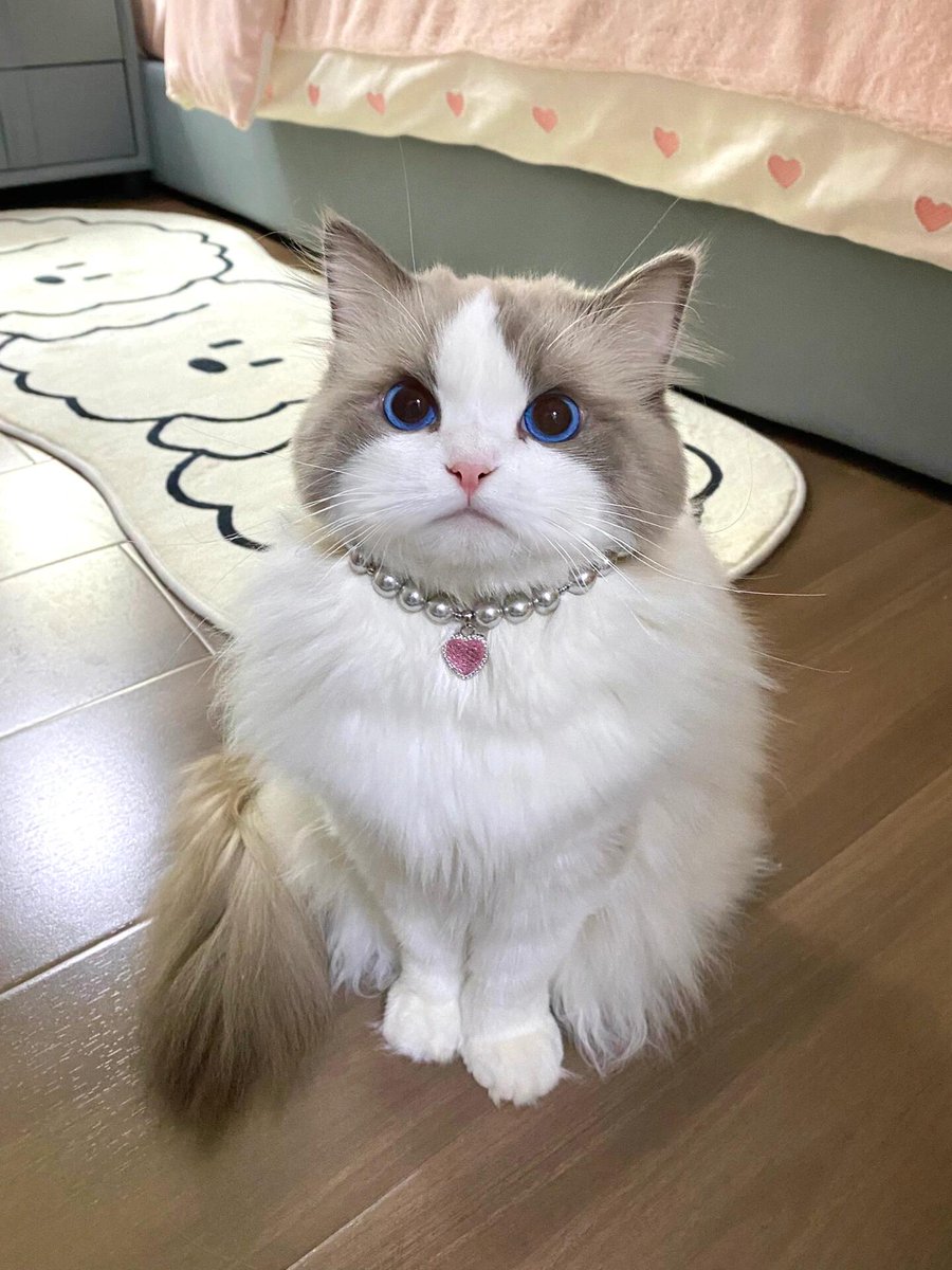 Intandmarsuki's tweet image. 