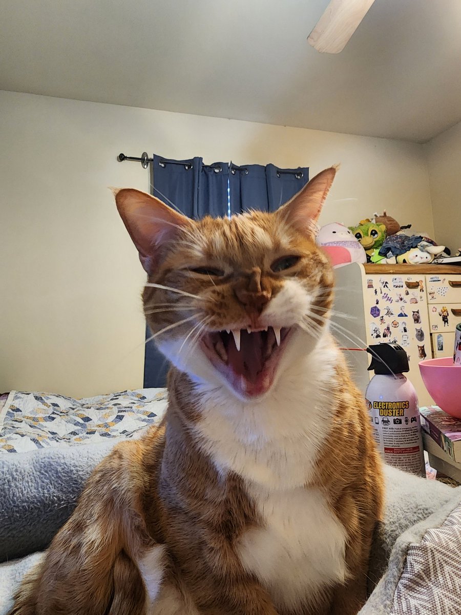 MOMTHER STOP CRYING YUO ARE GETTING MINE PILLOW WHET!!!!