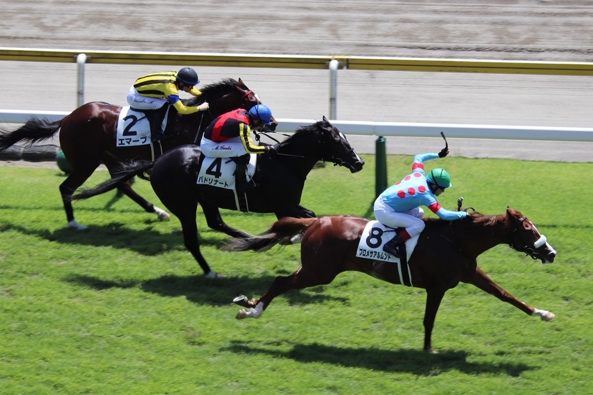 umakeiba_com's tweet image. 新潟4Rを制したのは圧倒的な支持を集めたプロメサアルムンド🐴淡々とした流れからのラスト3F113-113-112の決め手比べを、33秒2の素晴らしい伸びでモノにしました💨

馬名の意味は『世界への約束』🌍
これからの飛躍がとても楽しみです😊

おめでとうございます👏

 #プロメサアルムンド
 #国枝栄 厩舎