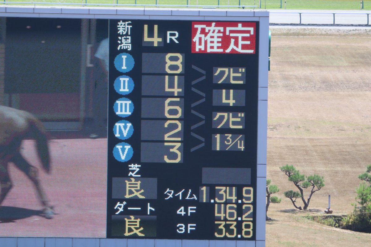 umakeiba_com's tweet image. 新潟4Rを制したのは圧倒的な支持を集めたプロメサアルムンド🐴淡々とした流れからのラスト3F113-113-112の決め手比べを、33秒2の素晴らしい伸びでモノにしました💨

馬名の意味は『世界への約束』🌍
これからの飛躍がとても楽しみです😊

おめでとうございます👏

 #プロメサアルムンド
 #国枝栄 厩舎