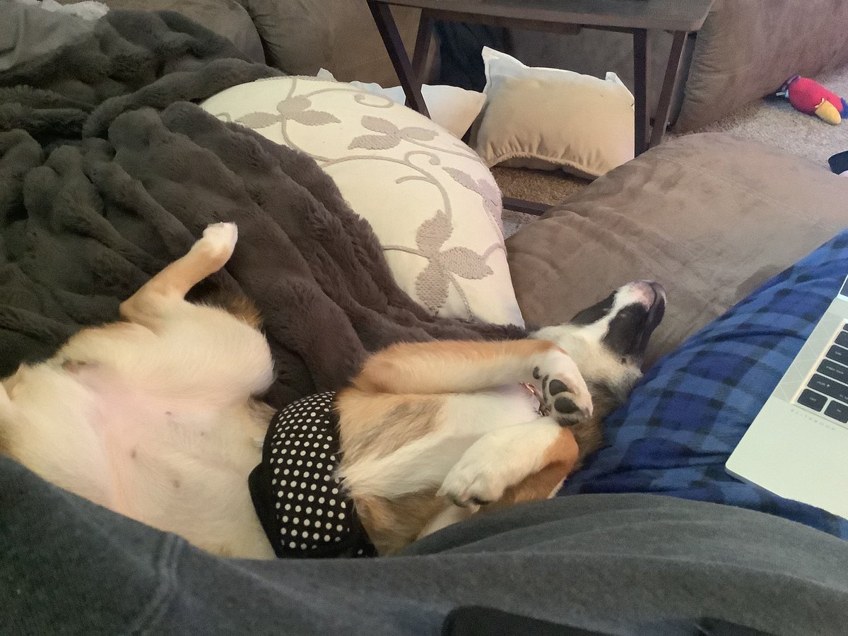 Kevin Fleming tweet media