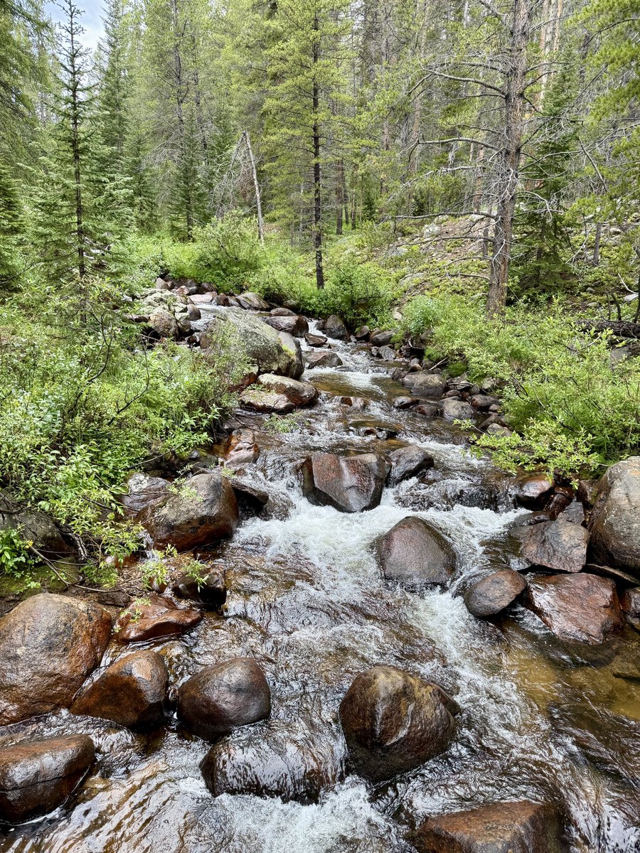 Leadfeet tweet media