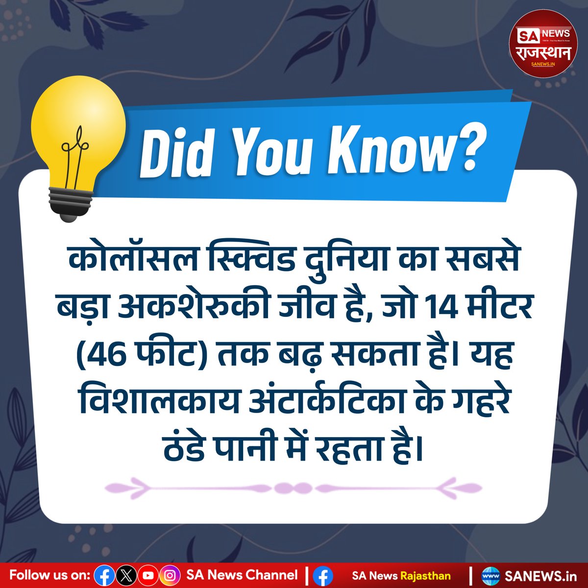 SANewsRajasthan's tweet image. Did You Know?  कोलॉसल स्क्विड दुनिया का सबसे बड़ा अकशेरुकी जीव है, जो 14 मीटर (46 फीट) तक बढ़ सकता है। यह विशालकाय अंटार्कटिका के गहरे ठंडे पानी में रहता है। #DidYouKnow #ColossalSquid #DeepSeaCreatures #OceanFacts #MarineLife #SAnewsRajasthan