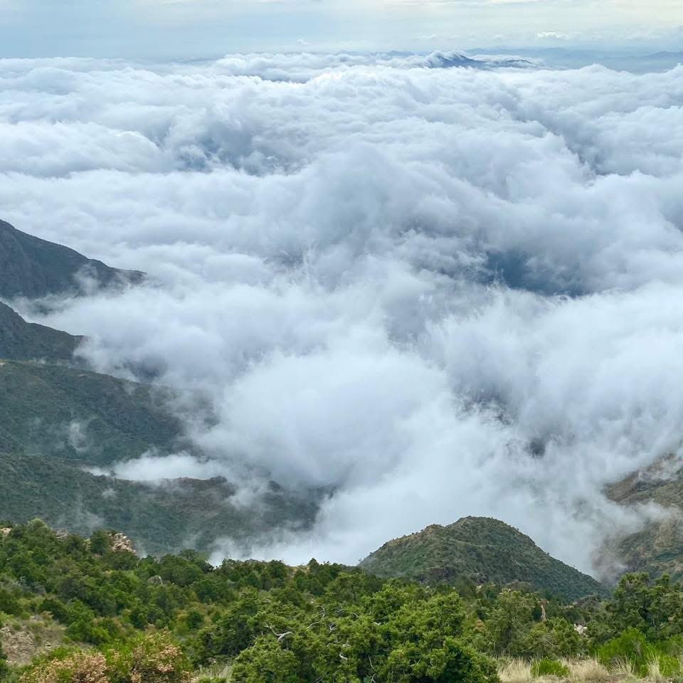 أجواء رهيبة حيث التقى الضباب بخضرة الارض ، وكأن الأرض تعانق السماء!!