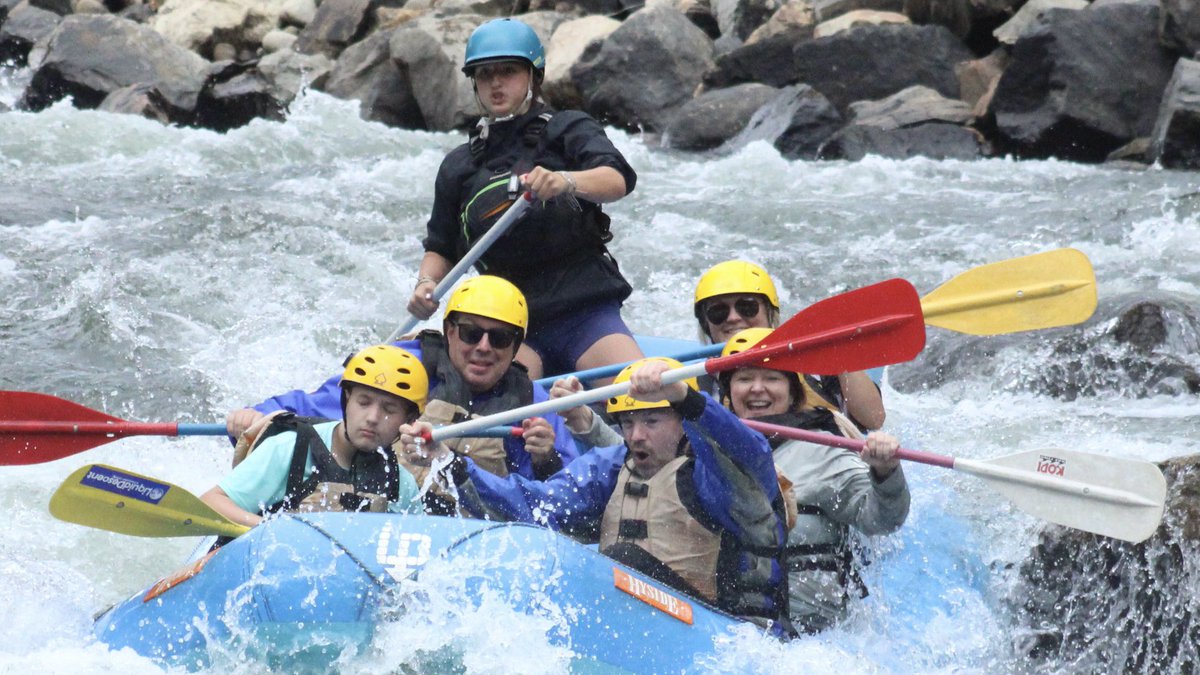 Shane Rosenthal tweet media