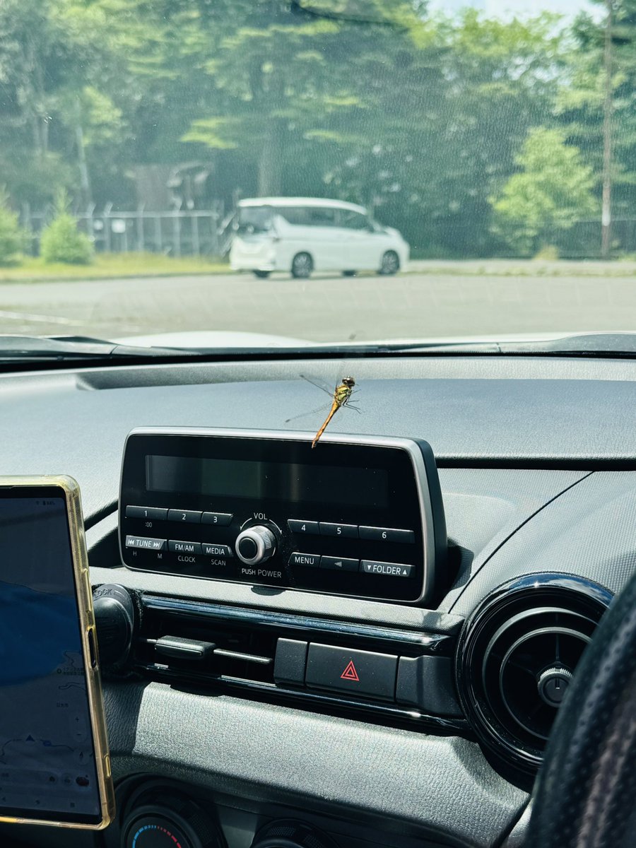 暑いので避暑に
トンボが入ってきました