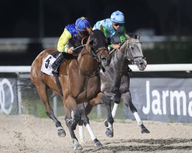 Y victoria de <a href="/cristi_perez99/">cristina perez revuelta</a> que ya lleva 5 y segundo de <a href="/Daniela_rg5/">Daniela Rodriguez</a>