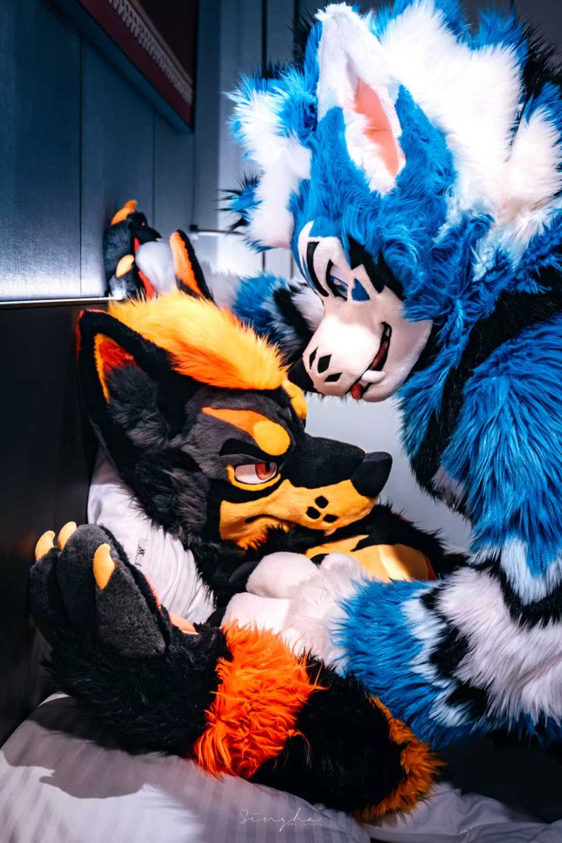 On the prowl for midnight snacks...😈

🐶:<a href="/Fat_Mame_Bean/">肥肥豆已经破产💸➡️🈚️</a> 
📷:<a href="/rekirc/">Rek</a> x 🖌💙