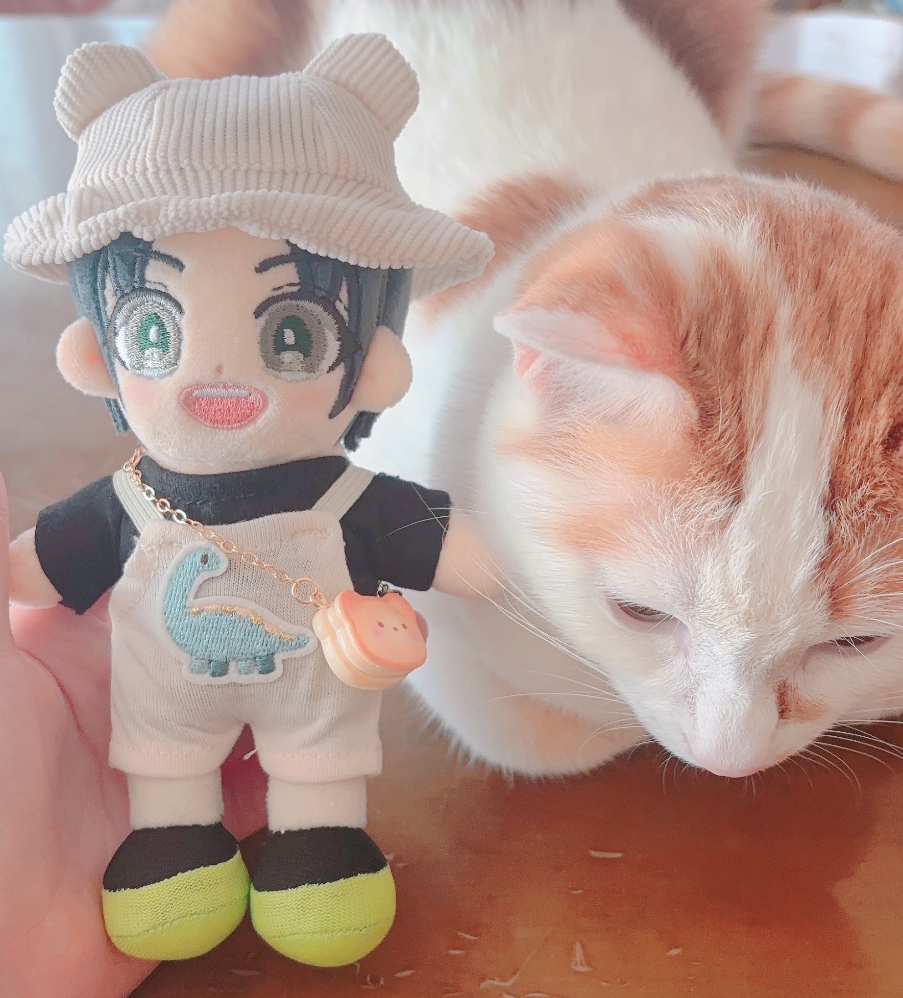 ゆずねこ (@yuzuneko0926) / X