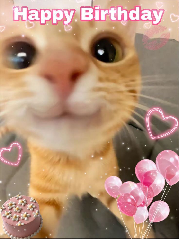 Happiest Birthdayyy , angel D!❤️ A year older, not so much wiser , but definitely cooler, cuter, and even more iconic...
Have the best day, you deserve it all🥹♥️
<a href="/justyouravg_grl/">ᴀッ</a>