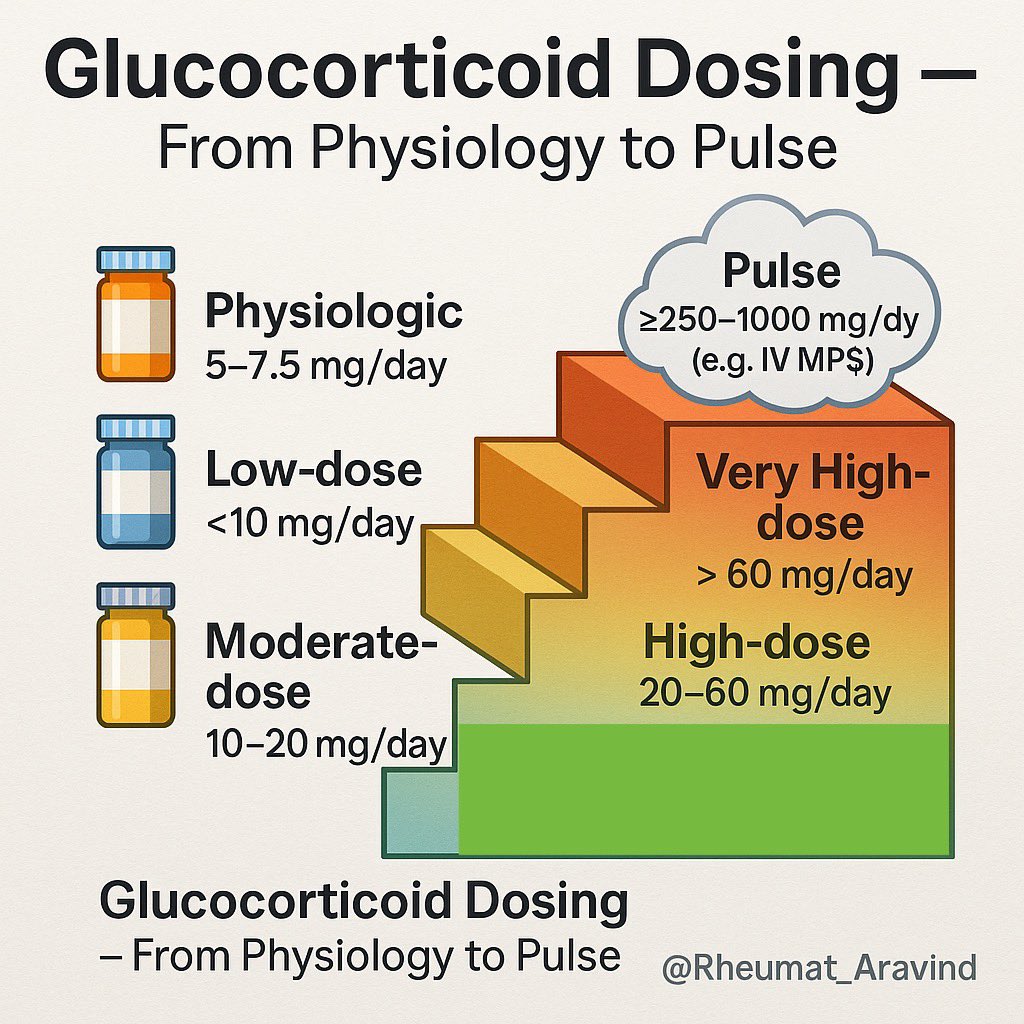 Aravind Palraj (@rheumat_aravind) on Twitter photo 🌀 Glucocorticoid Dosing Demystified
From baseline needs to pulse therapy — Know the range before you prescribe.
📉 Physiologic
⬆️ Low to Very High
⚡ Pulse: Life-saving in flares
#MedTwitter #Rheumatology #Steroids <a href="/IhabFathiSulima/">Dr Ihab Suliman</a> <a href="/DrAkhilX/">Dr. Akhil 🇮🇳</a> <a href="/Janetbirdope/">Janet Pope</a> 🌀 Glucocorticoid Dosing Demystified
From baseline needs to pulse therapy — Know the range before you prescribe.
📉 Physiologic
⬆️ Low to Very High
⚡ Pulse: Life-saving in flares
#MedTwitter #Rheumatology #Steroids <a href="/IhabFathiSulima/">Dr Ihab Suliman</a> <a href="/DrAkhilX/">Dr. Akhil 🇮🇳</a> <a href="/Janetbirdope/">Janet Pope</a>