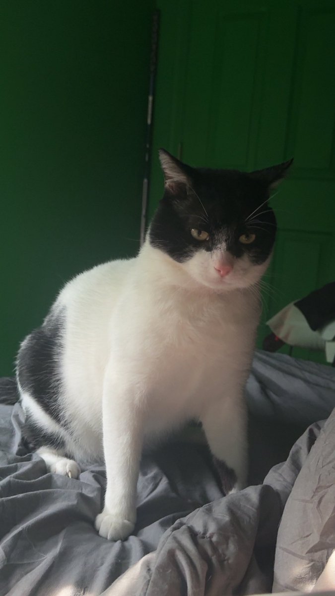 i fucked around and turned 30