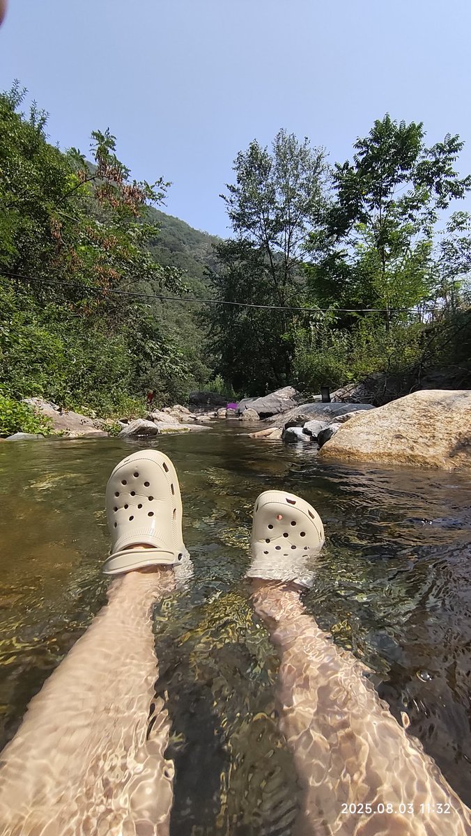 TIOOIM ' G tweet media