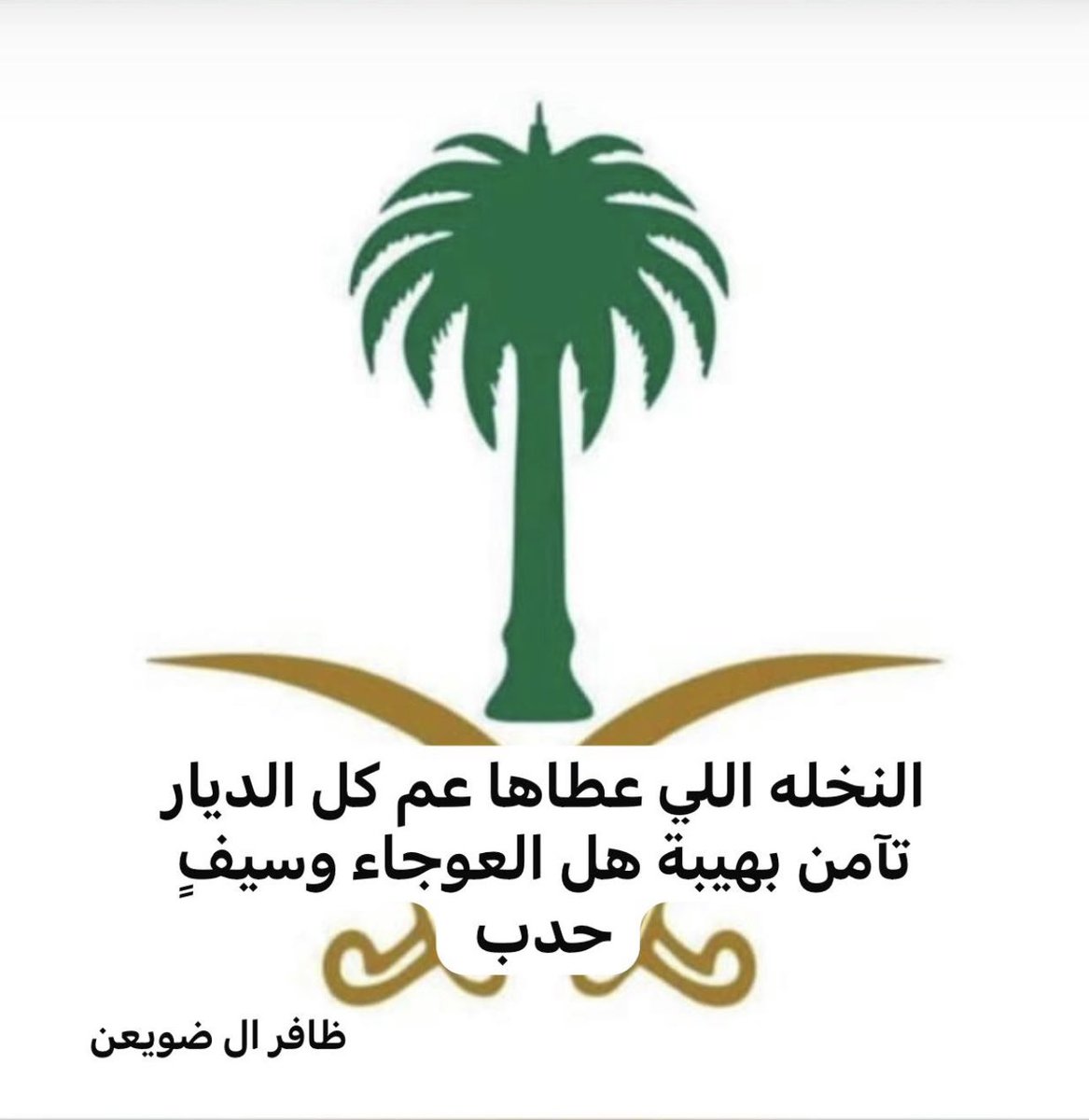 # نجران_ الآن