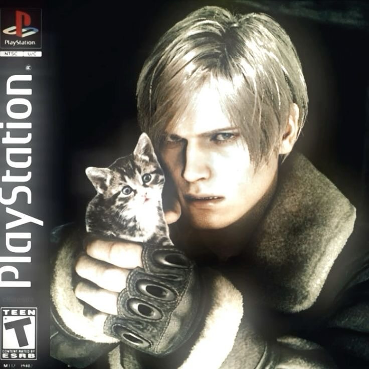 Punch Cat (@punchingcat) on Twitter photo 