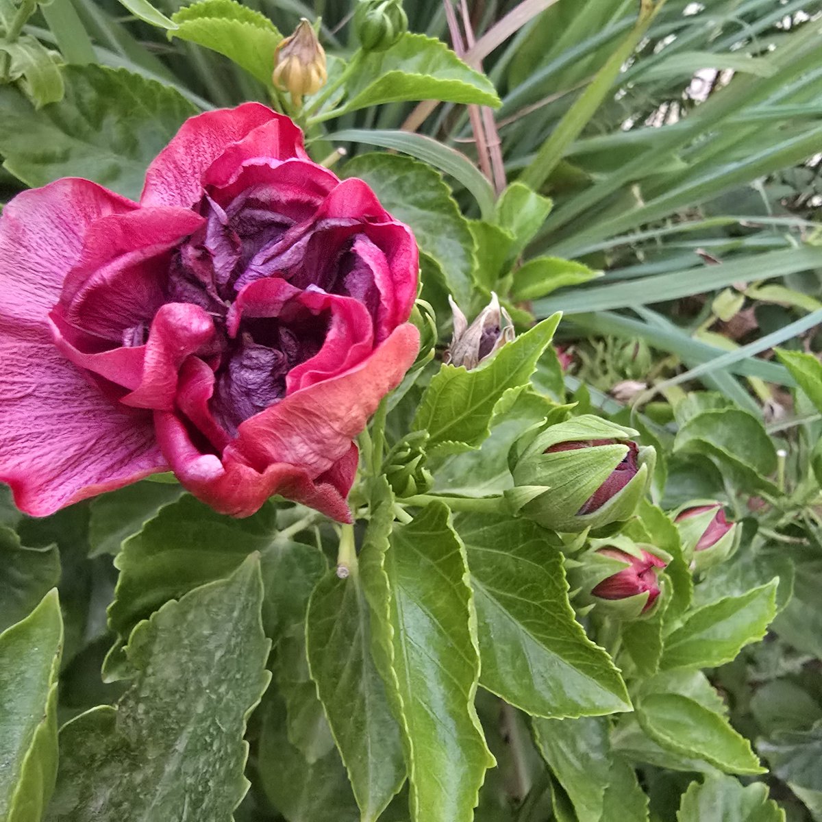 صباحُكــم مثل الزهور 
التي تتفتح في أول ضوء الصّباح 
تبعث في قلوبكم الأمل 
وتملأ يومكم بالعزيمة والإيمان"

⁧ #صباح_الخير⁩
⁧ #صباح_الأشياء_المُشرقة