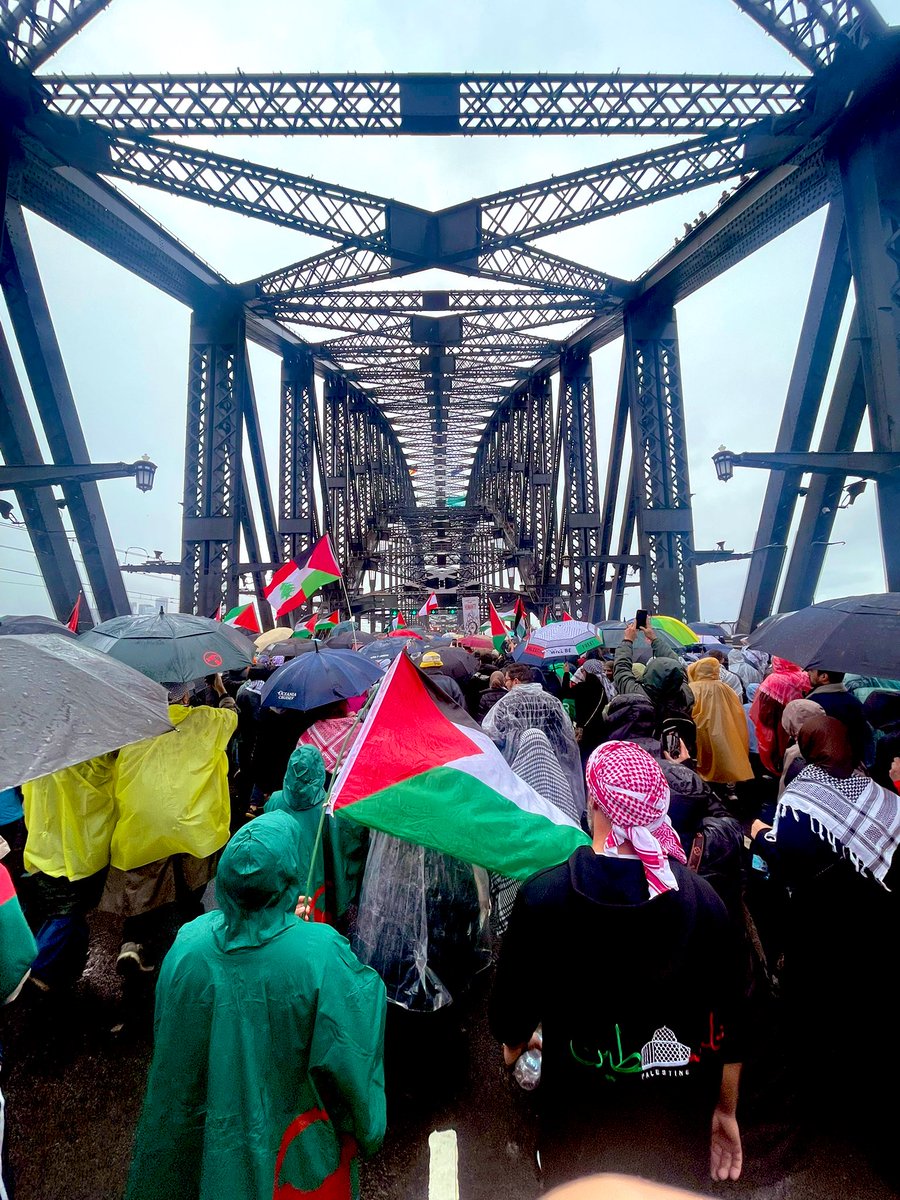 #StopTheGenocide #FreePalestine #HarbourBridge