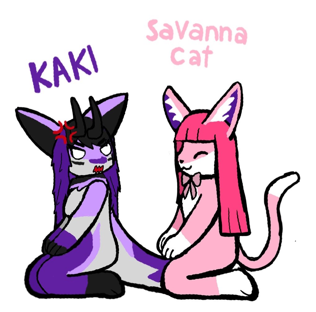 (카키)님 하고(사바나캤)님 을 그려보았습니다 
(<a href="/M18HellNeko/">HELLA.🔜JMoF 2026</a>)
(<a href="/sav_cat/">사바나</a>)